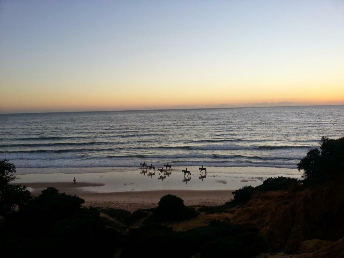 Luminoso Apartamento En Playa Las Redes, Entorno Natural Pinares Y Dunas. Wifi 圣玛丽亚港 外观 照片